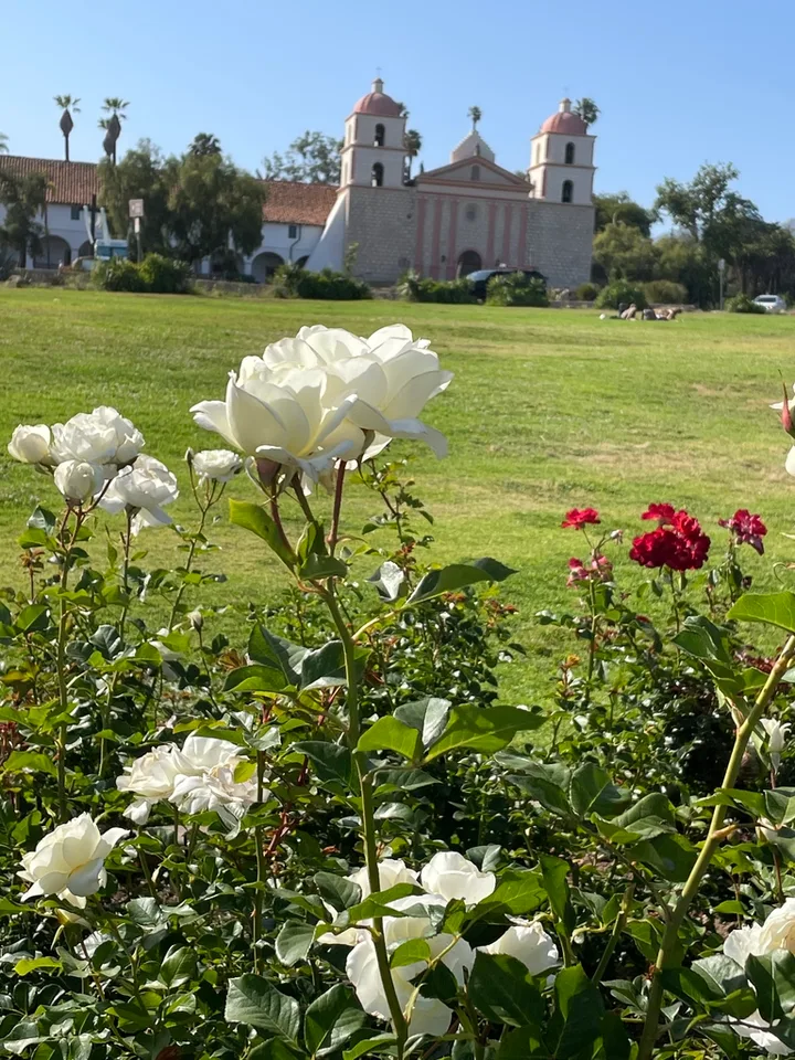 Flowers - Late Spring in Santabarbara, CA - Craven Co. EMGV, NC