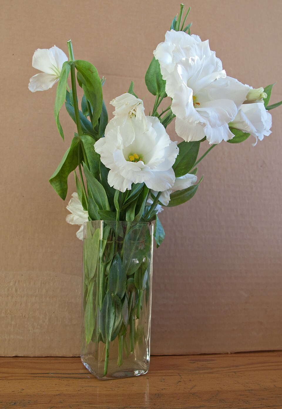 White lisianthus gathered in a vase