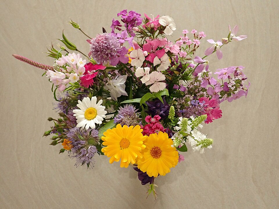 A garden bouquet with sweet William, calendula and pink limonium