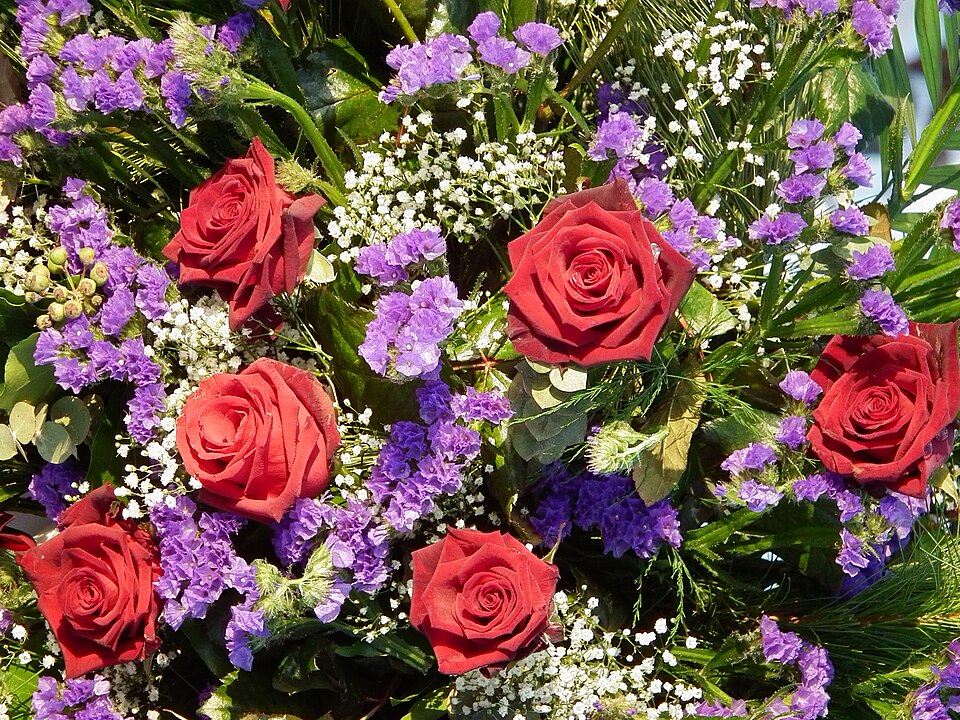 A red rose with baby’s breath and statice