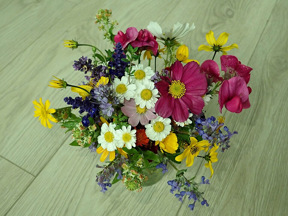 An autumn garden bouquet with cosmos, feverfew, lavender and salvia