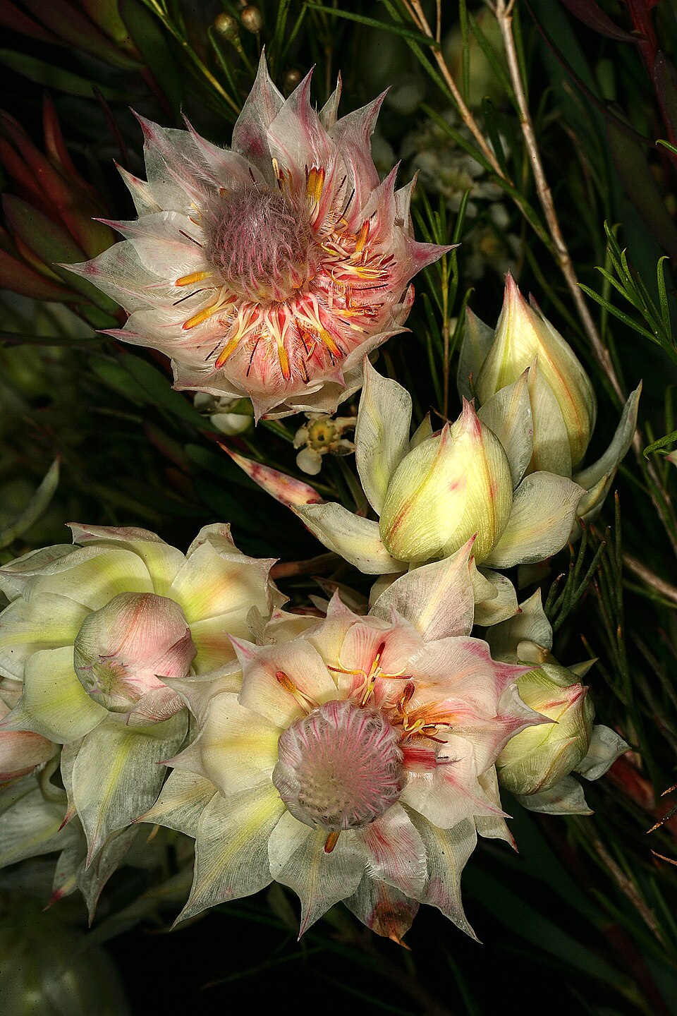 Blushing bride in a floral arrangement