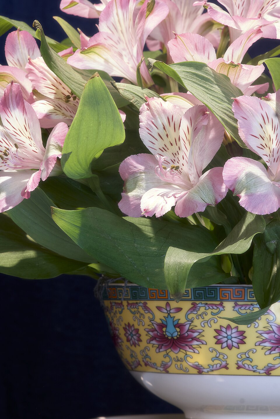 Alstroemeria in a floral arrangement