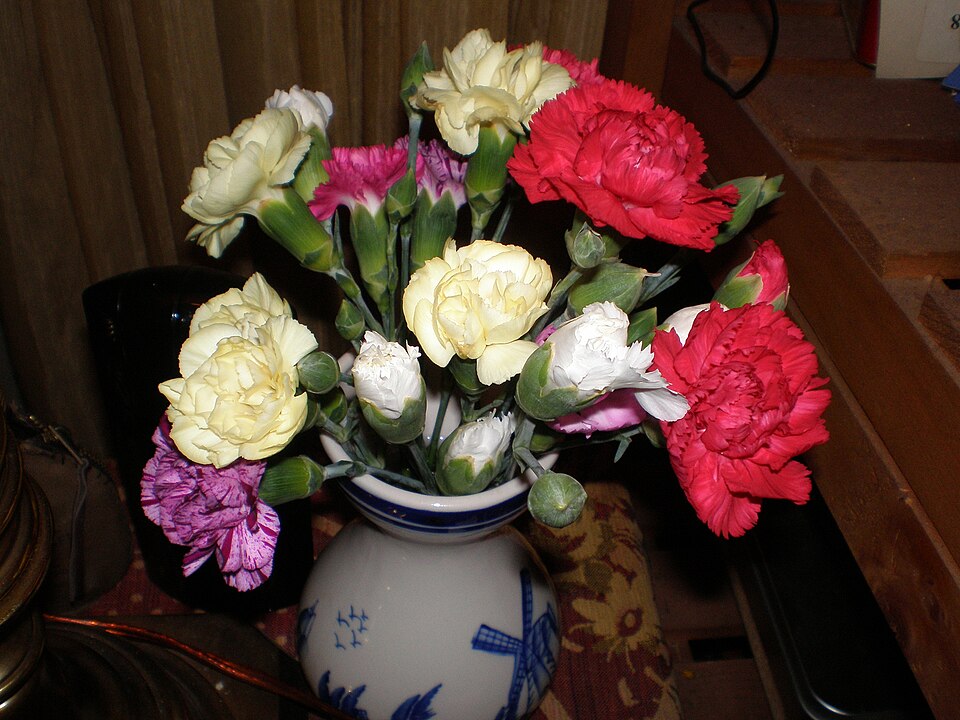 Mini carnations in a small vase