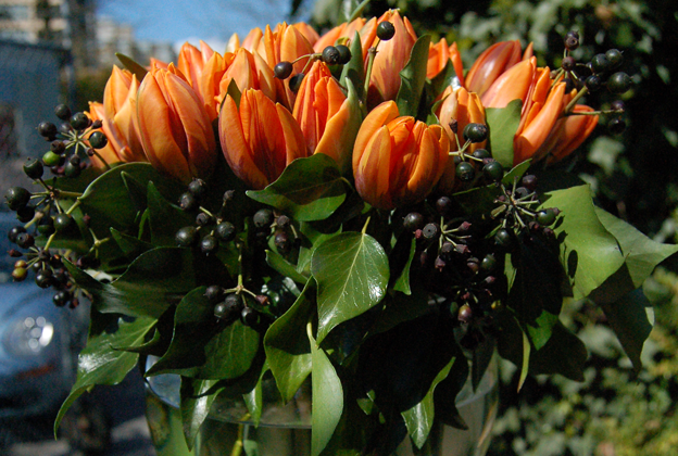 Orange tulips arranged with seeded ivy