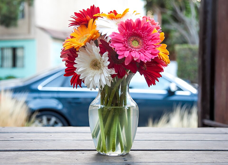 A colorful gerbera arrangement in glass vases